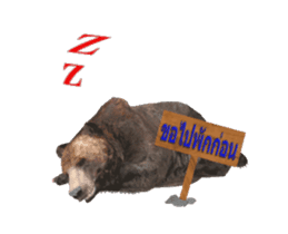 Grizzly Bear for Chat sticker #14555211
