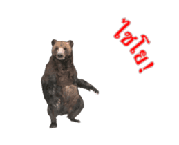 Grizzly Bear for Chat sticker #14555212