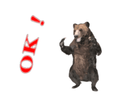 Grizzly Bear for Chat sticker #14555214