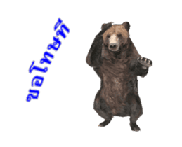Grizzly Bear for Chat sticker #14555217