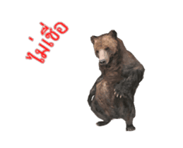 Grizzly Bear for Chat sticker #14555219