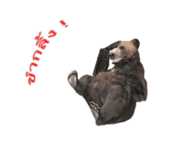 Grizzly Bear for Chat sticker #14555220
