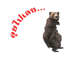 Grizzly Bear for Chat sticker #14555222