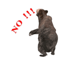 Grizzly Bear for Chat sticker #14555223