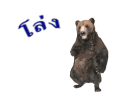 Grizzly Bear for Chat sticker #14555224