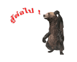 Grizzly Bear for Chat sticker #14555225