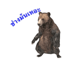 Grizzly Bear for Chat sticker #14555227