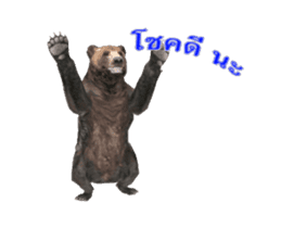 Grizzly Bear for Chat sticker #14555228