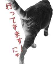 American Curl Cat ~EVA~ sticker #14555583