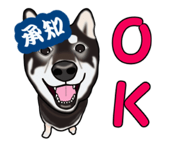 Move! Sticker of Black SHiba inu sticker #14555991