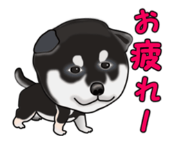 Move! Sticker of Black SHiba inu sticker #14555995