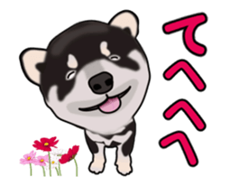 Move! Sticker of Black SHiba inu sticker #14556002