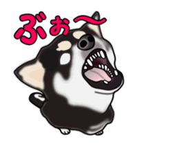 Move! Sticker of Black SHiba inu sticker #14556005