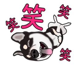 Move! Sticker of Black SHiba inu sticker #14556006