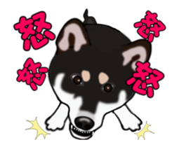 Move! Sticker of Black SHiba inu sticker #14556007