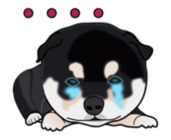 Move! Sticker of Black SHiba inu sticker #14556009