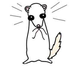 Ferret speaking Hiroshima Language2 sticker #14556355