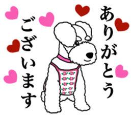 REO and RAIYA sticker #14556673