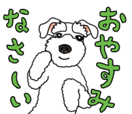 REO and RAIYA sticker #14556676