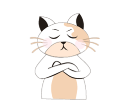 Snow Peach Kitten sticker #14557411