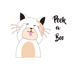 Snow Peach Kitten sticker #14557418