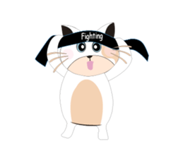 Snow Peach Kitten sticker #14557422