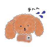 poodle oki's everyday sticker #14557480