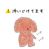 poodle oki's everyday sticker #14557483