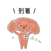poodle oki's everyday sticker #14557491