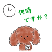 poodle oki's everyday sticker #14557494