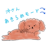 poodle oki's everyday sticker #14557497