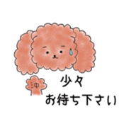 poodle oki's everyday sticker #14557506