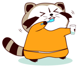 North American Raccoon (V3) sticker #14558253