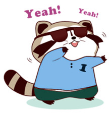 North American Raccoon (V3) sticker #14558262