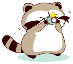 North American Raccoon (V3) sticker #14558270