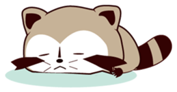 North American Raccoon (V3) sticker #14558278