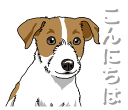 Wanko-Biyori JRT-Jack Russell terrier 2 sticker #14558967