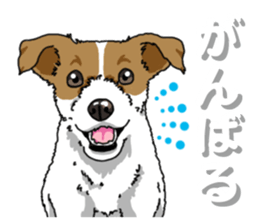 Wanko-Biyori JRT-Jack Russell terrier 2 sticker #14558971