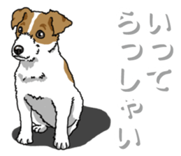 Wanko-Biyori JRT-Jack Russell terrier 2 sticker #14558975