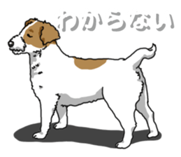 Wanko-Biyori JRT-Jack Russell terrier 2 sticker #14558985