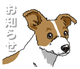 Wanko-Biyori JRT-Jack Russell terrier 2 sticker #14558986