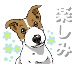 Wanko-Biyori JRT-Jack Russell terrier 2 sticker #14558987