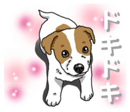 Wanko-Biyori JRT-Jack Russell terrier 2 sticker #14558991