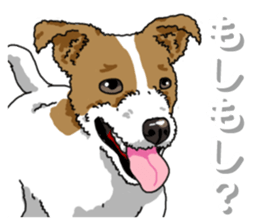 Wanko-Biyori JRT-Jack Russell terrier 2 sticker #14558993