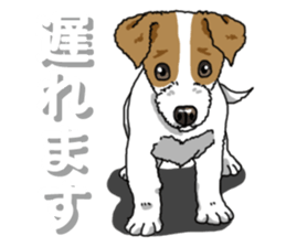 Wanko-Biyori JRT-Jack Russell terrier 2 sticker #14558999