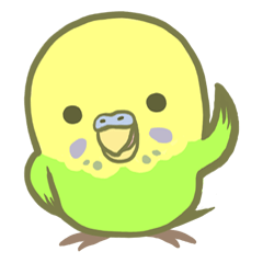 Spirited seki-chan of the budgerigar