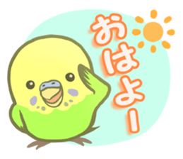Spirited seki-chan of the budgerigar sticker #14559830