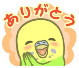 Spirited seki-chan of the budgerigar sticker #14559832