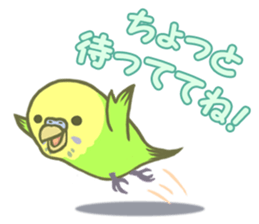 Spirited seki-chan of the budgerigar sticker #14559833