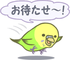 Spirited seki-chan of the budgerigar sticker #14559834